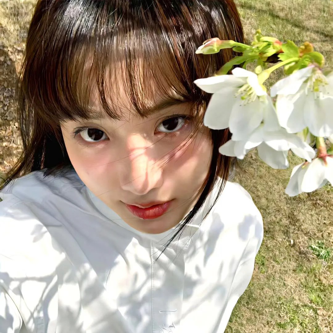 牧蜂姑娘